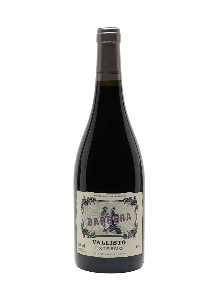 Vallisto-Barbera-2023 Vallisto Barbera 2023